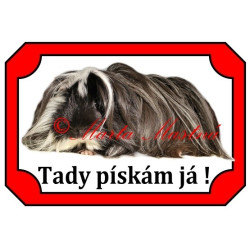 Tabulka morče peruán