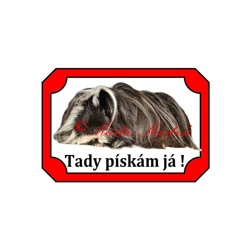 Tabulka morče peruán