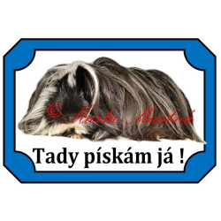 Tabulka morče peruán