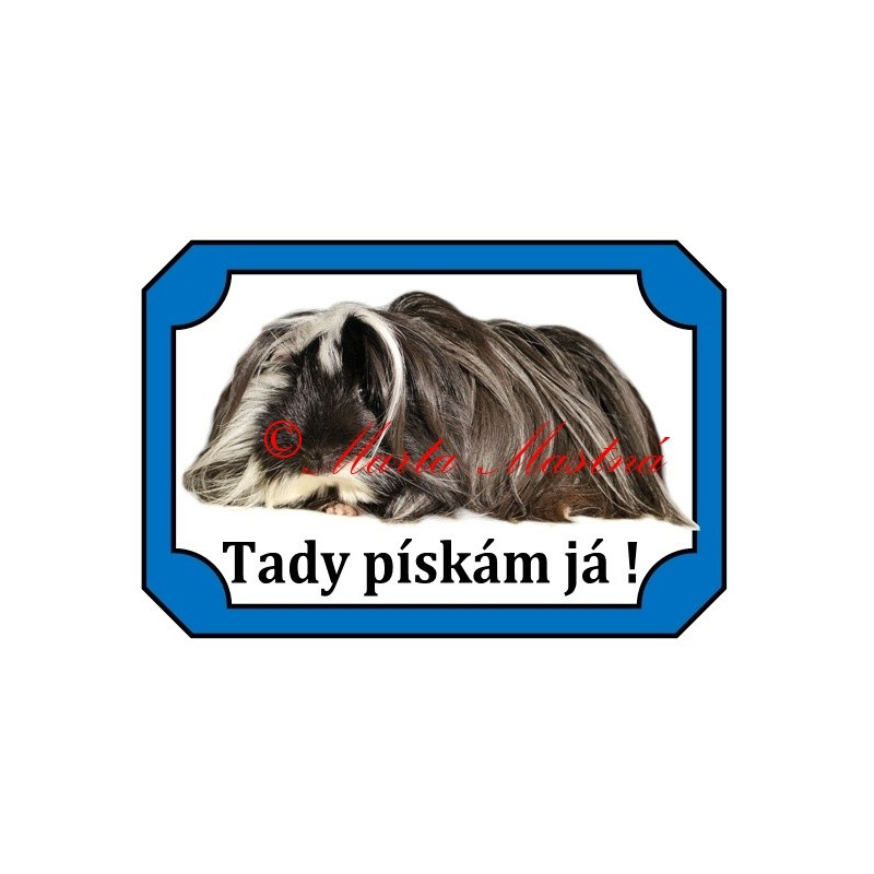 Tabulka morče peruán