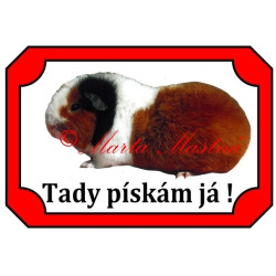 Tabulka morče teddy