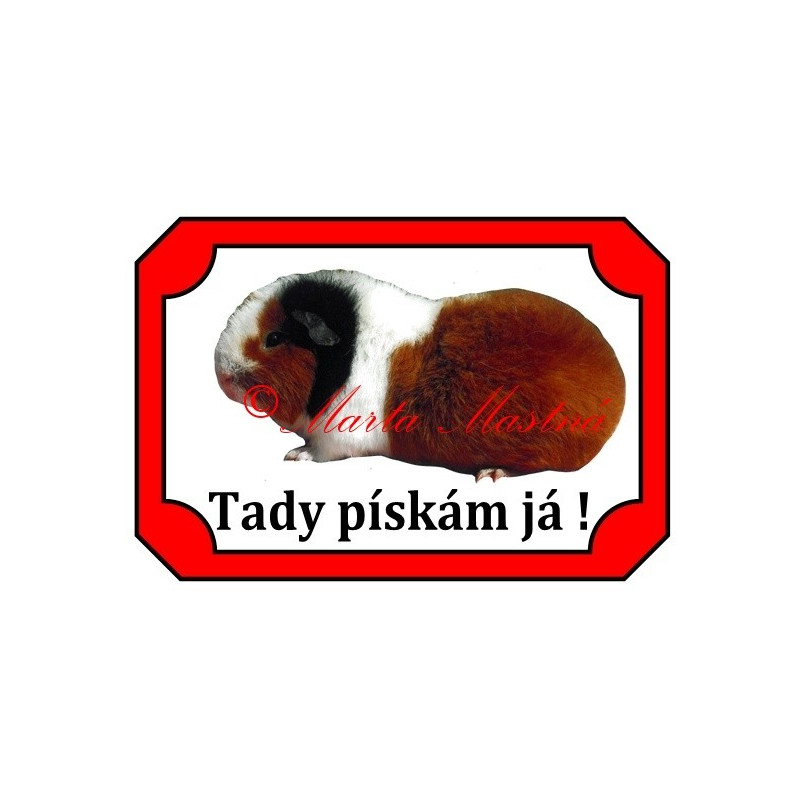 Tabulka morče teddy