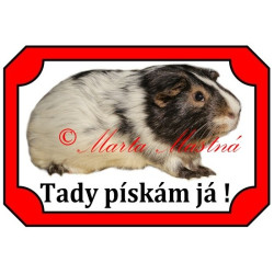 Tabulka morče dalmatin