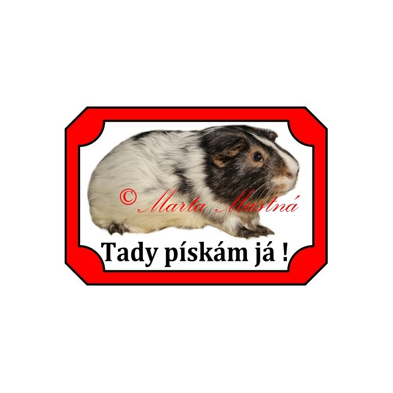 Tabulka morče dalmatin