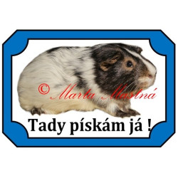 Tabulka morče dalmatin