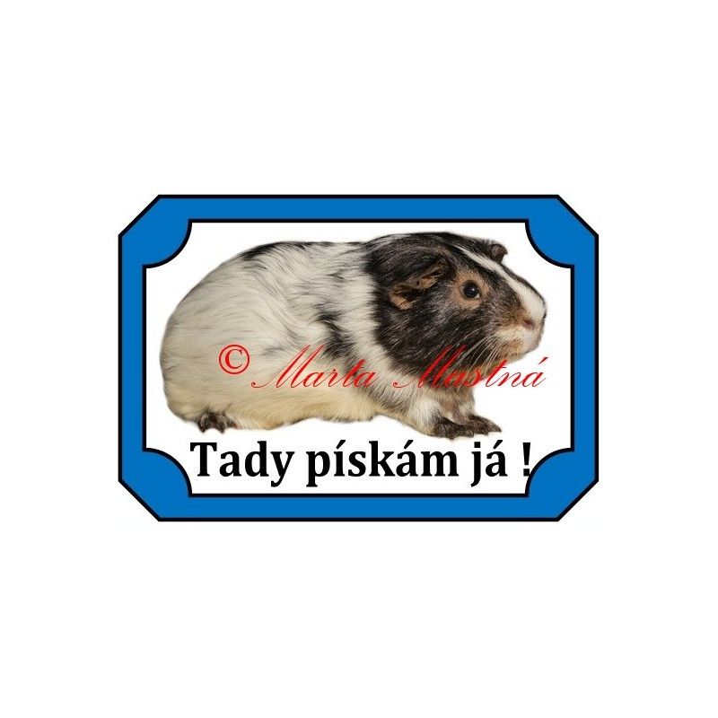 Tabulka morče dalmatin