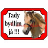 Tabulka kůň fjordský