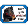 Tabulka kůň