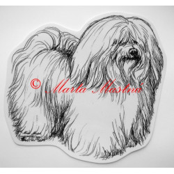 Havanský psík, cotton de Tulear