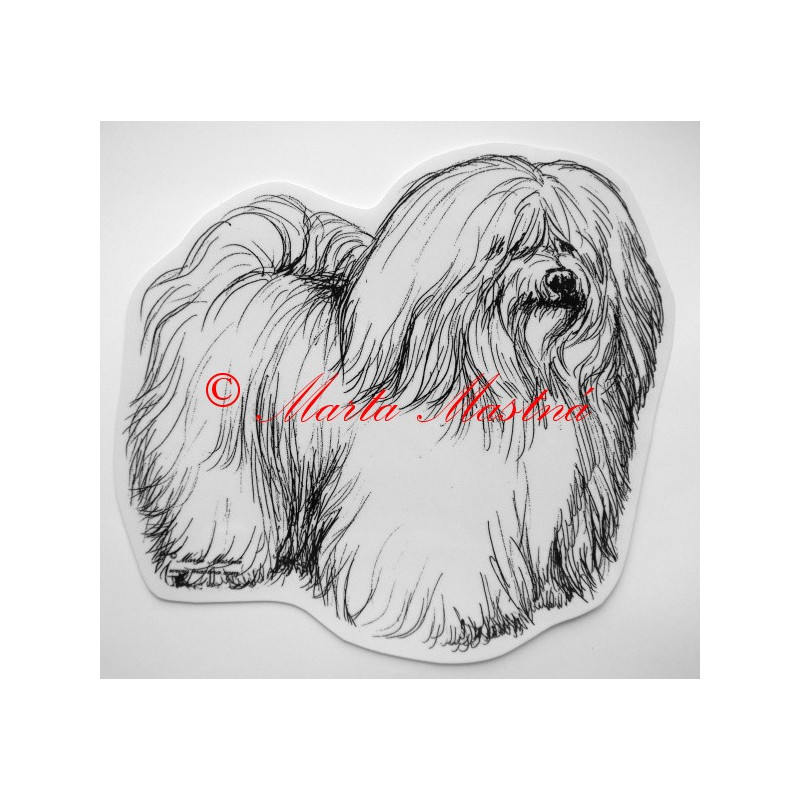 Havanský psík, cotton de Tulear