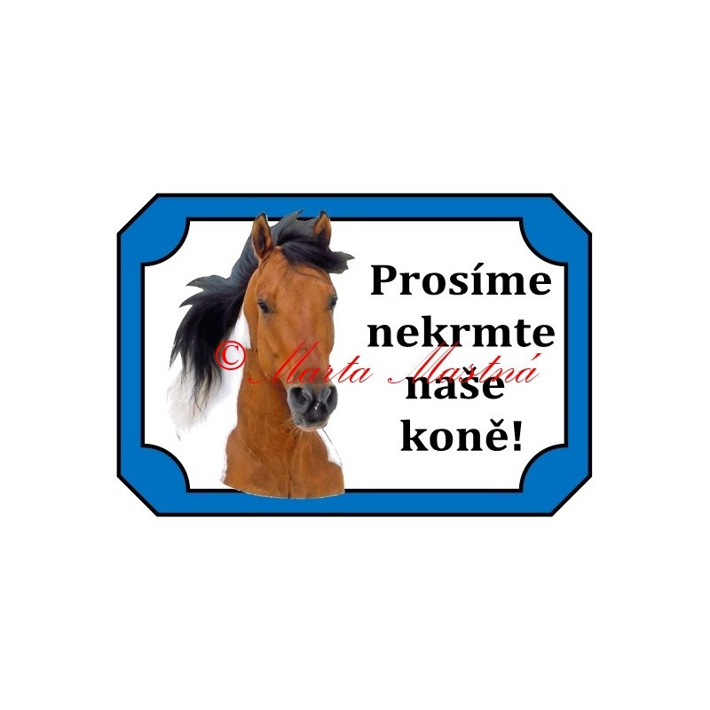 Tabulka kůň paint