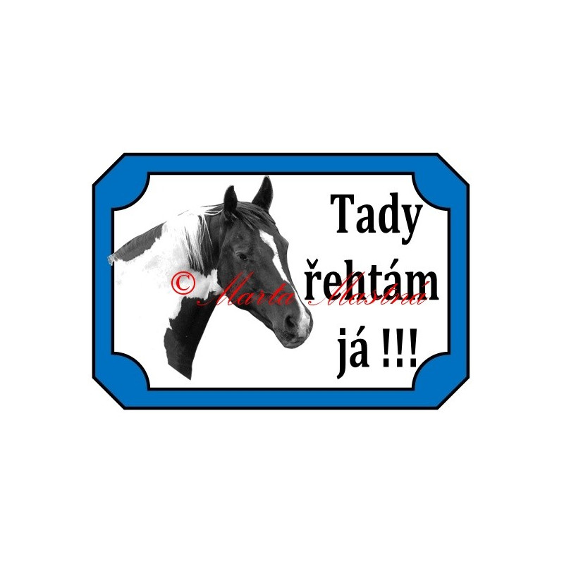 Tabulka kůň paint