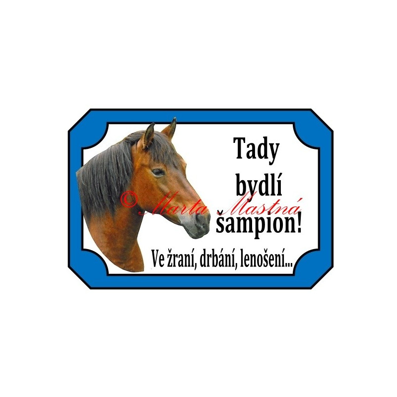 Tabulka kůň hucul