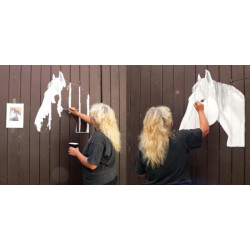 Imitace koňského boxu