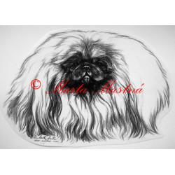 Pekingský palácový psík - pekinéz