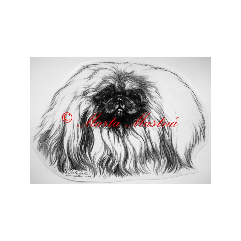 Pekingský palácový psík - pekinéz