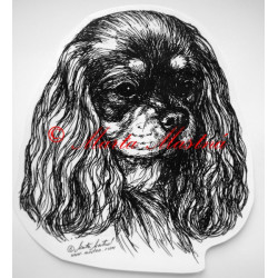 Kavalír king Charles španěl