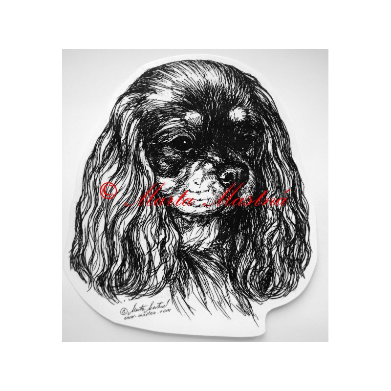 Kavalír king Charles španěl