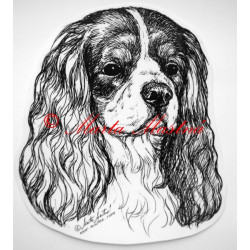 Kavalír king Charles španěl