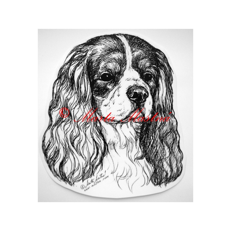 Kavalír king Charles španěl