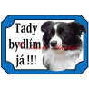 Tabulka border kolie