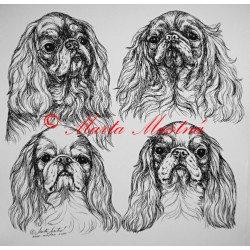 King Charles španěl