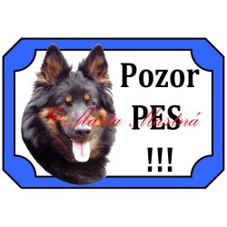 Tabulka chodský pes