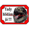 Tabulka kavkazský pastevecký pes