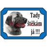 Tabulka anatolský pastevecký pes, kangal