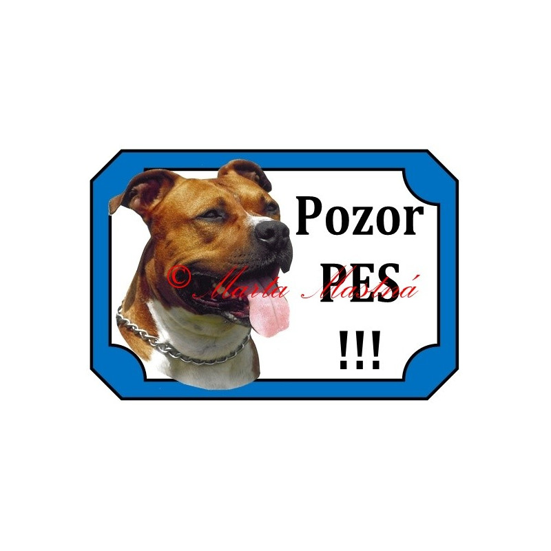 Tabulka staford, pitbul