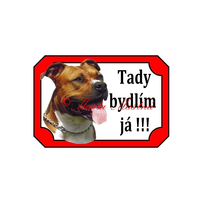 Tabulka staford, pitbul
