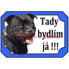 Tabulka stafordšírský bulteriér