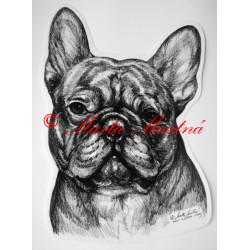 Francouzský buldoček