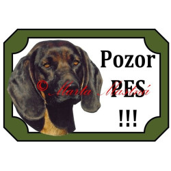 Tabulka barvář bavorský