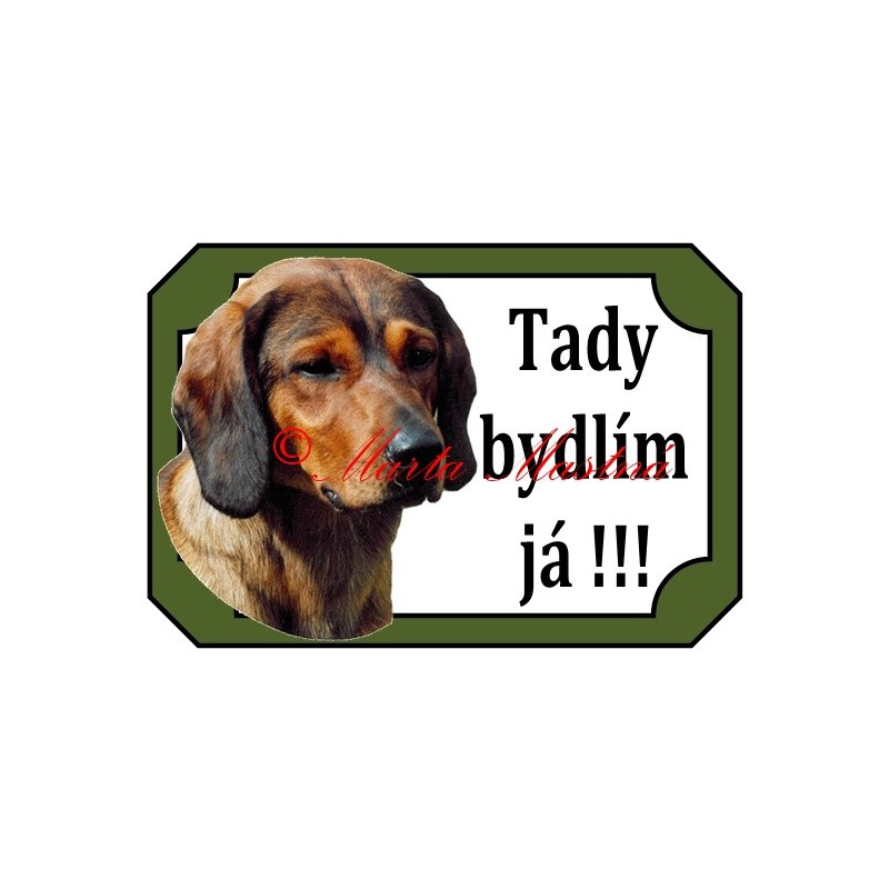 Tabulka alpský jezevčíkovitý brakýř, braka