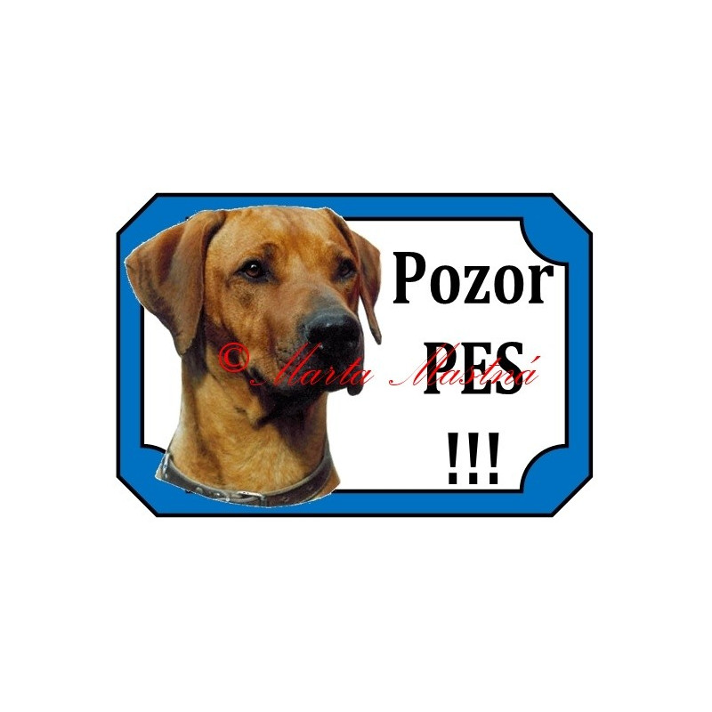 Tabulka rhodéský ridgeback