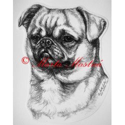 Brabantský grifonek - brabantík