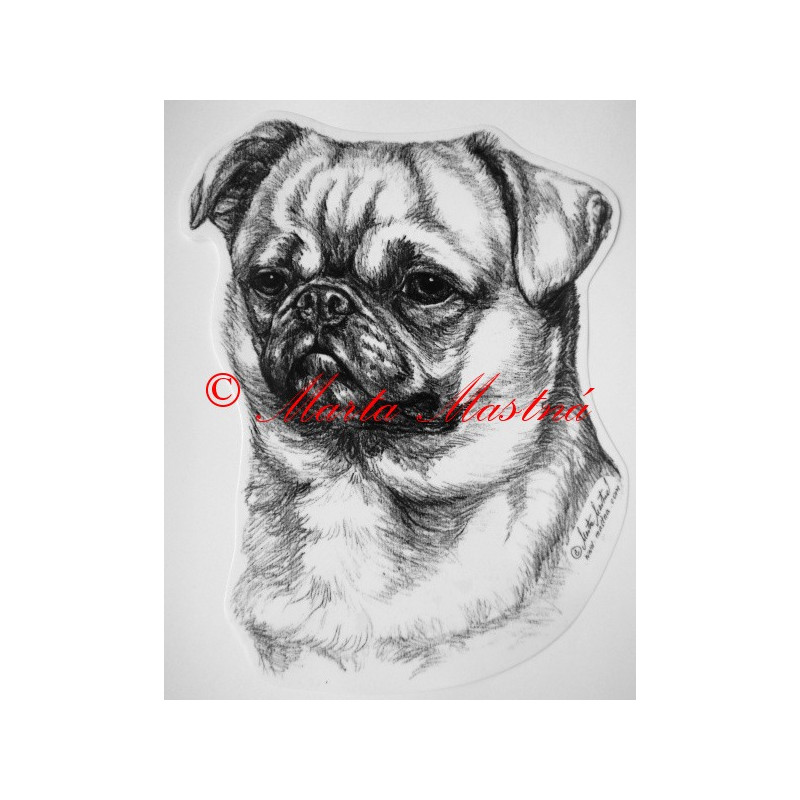 Brabantský grifonek - brabantík