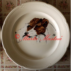 Ceny pro výstavu německého klubu - foxteriér