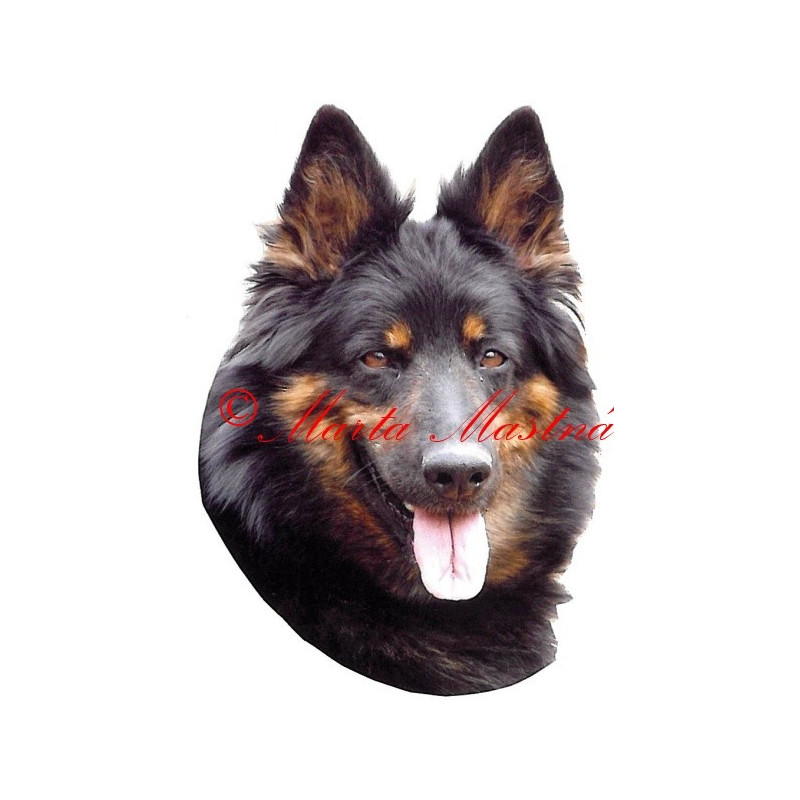 Samolepka chodský pes