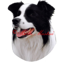 Samolepka border kolie