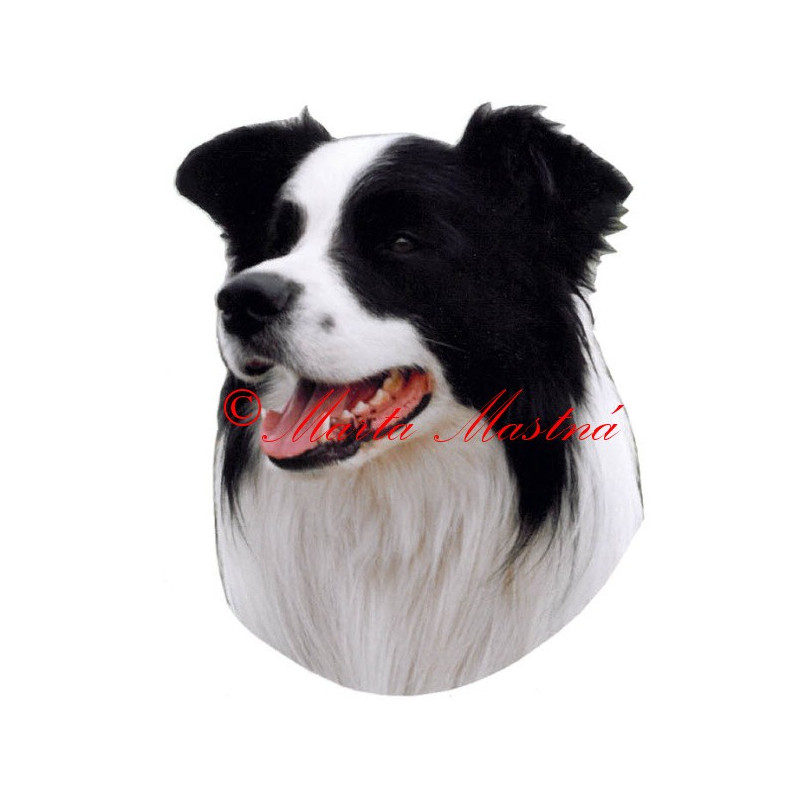 Samolepka border kolie