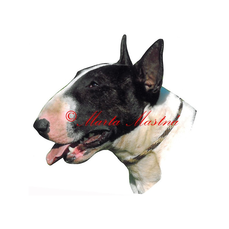 Samolepka bulteriér