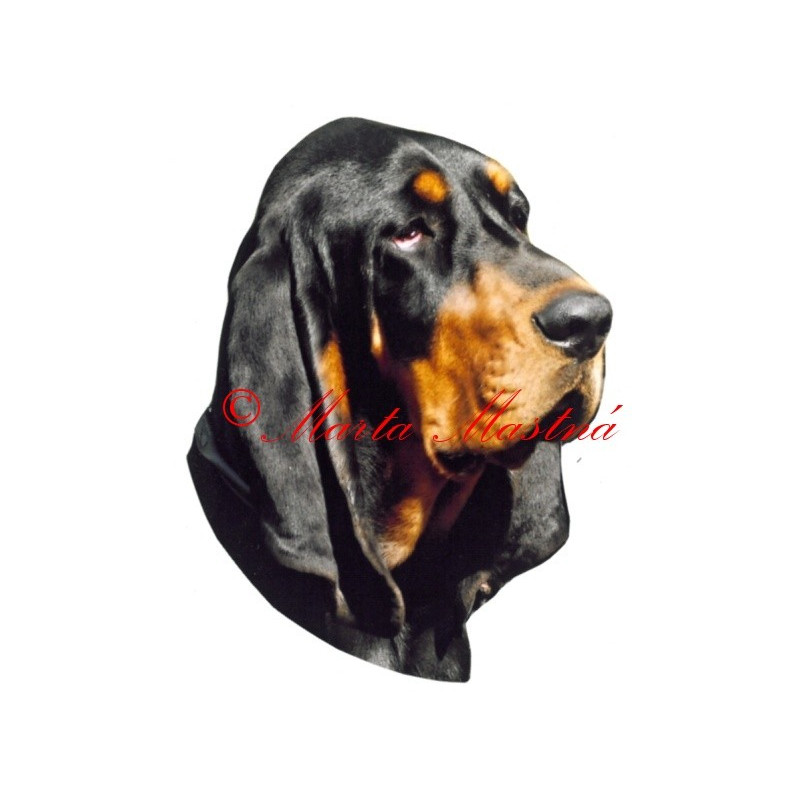 Samolepka coonhound