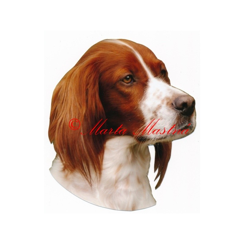 Samolepka irský setr červenobílý