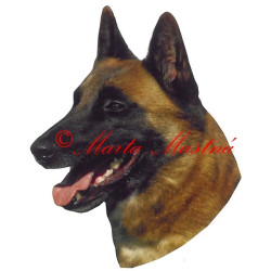 Samolepka belgický ovčák malinois