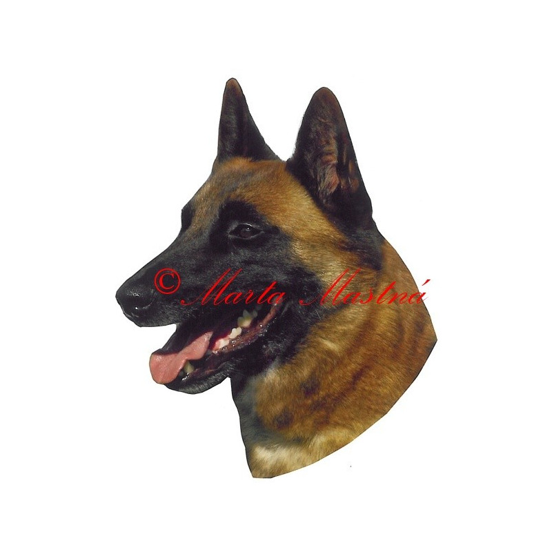 Samolepka belgický ovčák malinois