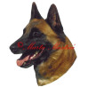 Samolepka belgický ovčák malinois