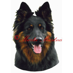 Samolepka chodský pes