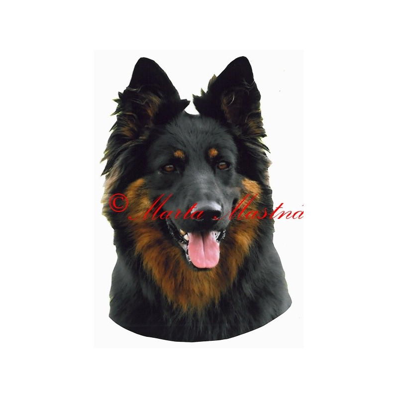 Samolepka chodský pes